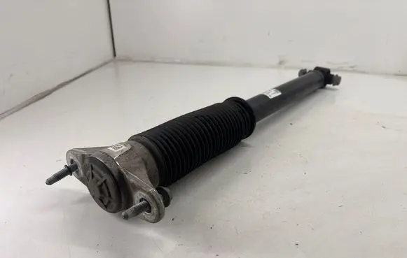 Tesla Model 3 Rear shock absorber/damper 104446102E