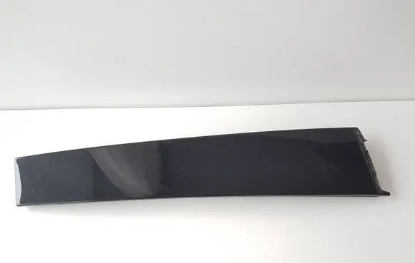 Rear door glass trim molding