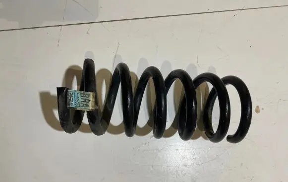 Ford Mustang VI Rear coil spring FR3C5560AC