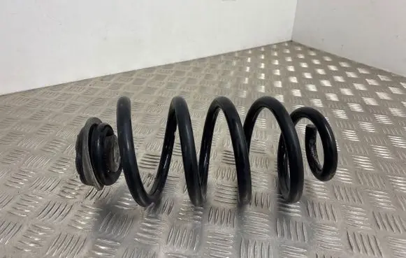 Renault Koleos I Rear coil spring