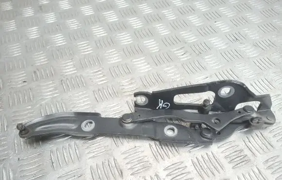 Tailgate/trunk/boot hinge