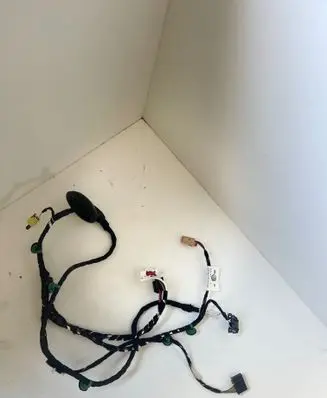 Volkswagen T-Roc Other wiring loom 2ga971120bh