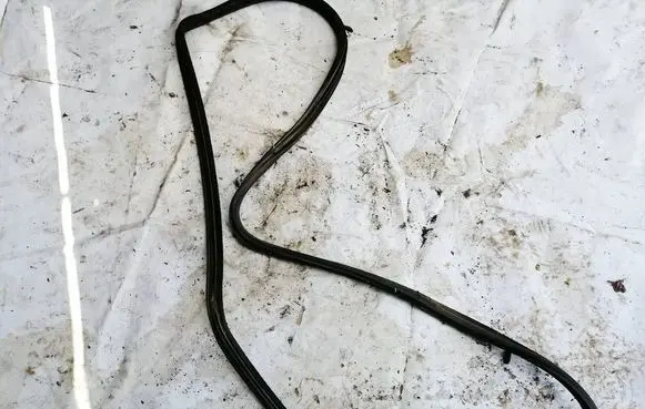 Volkswagen PASSAT B4 Rubber seal rear door 