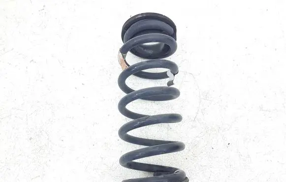 Ford Edge II Rear coil spring F2GC5560 F2GC5560BND Q48PA