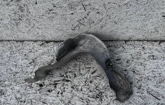 Audi Q2 - Exhaust heat shield 5Q0825735B