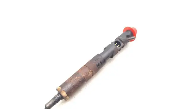 Dacia Sandero Fuel injector EJBR05101D 8200676774
