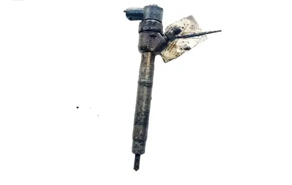 Hyundai i30 Fuel injector 0445110320 33800-2A900