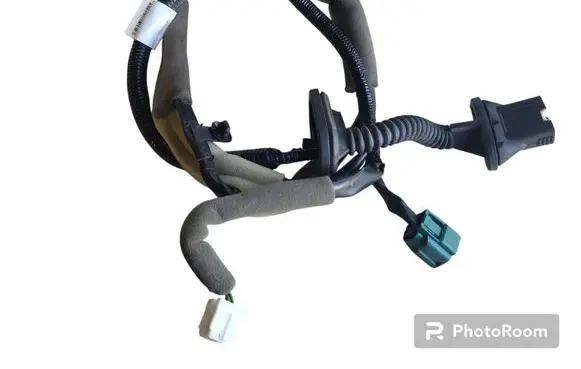 Rear door wiring loom