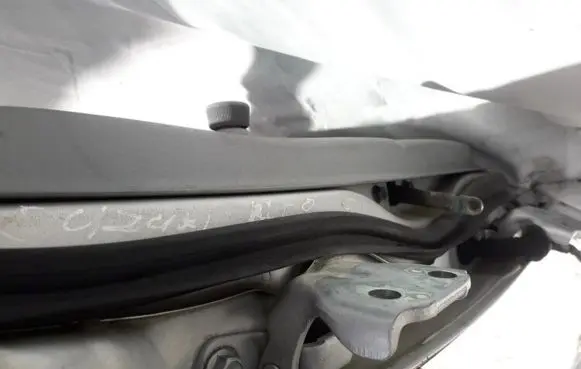 Suzuki Alto Rear door lower hinge