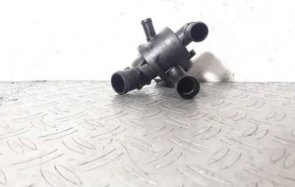 Thermostat/thermostat housing