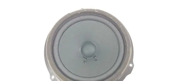 Ford Kuga II Front door speaker AA6T18808 AA6T18808AA