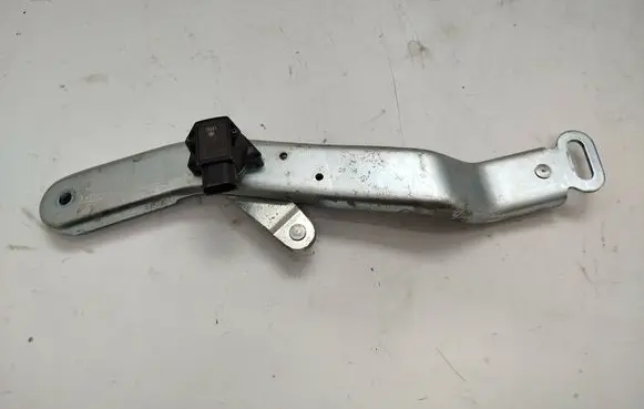 Volkswagen Phaeton Tailgate/trunk/boot hinge 3D5827582B