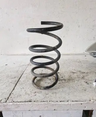 Rear coil spring