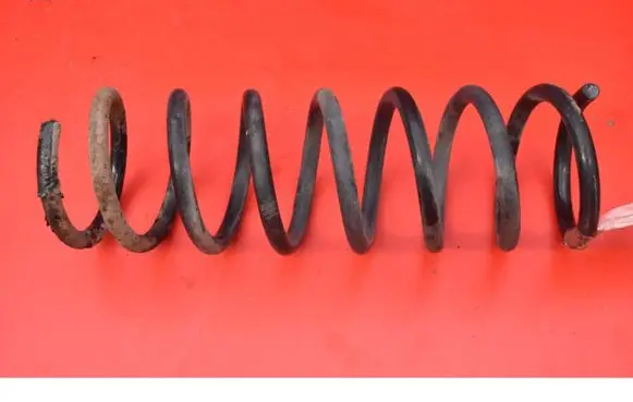 Rear coil spring