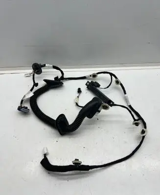 Rear door wiring loom