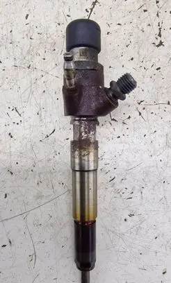 Nissan Juke I F15 Fuel injector H8201100113