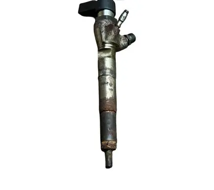 Nissan Juke I F15 Fuel injector H8201100113 166006212R