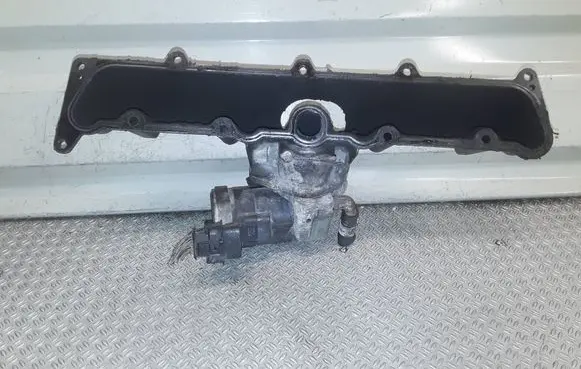 Opel Vectra C EGR valve 00005321c5