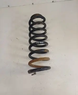 Rear coil spring