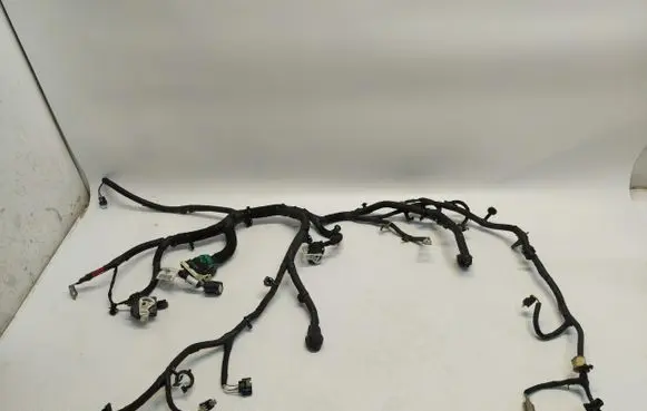 Ford Mustang Mach-E Front door wiring loom/harness boot LJ8T-12B637-NBH