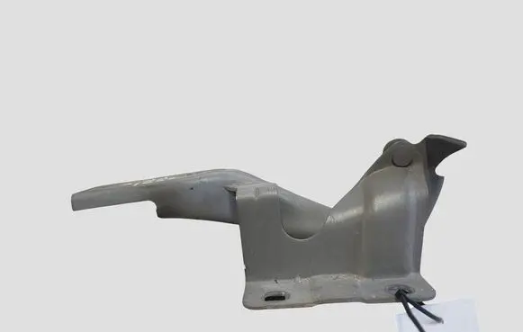 Renault Koleos I Engine bonnet/hood hinges 65401JY00A