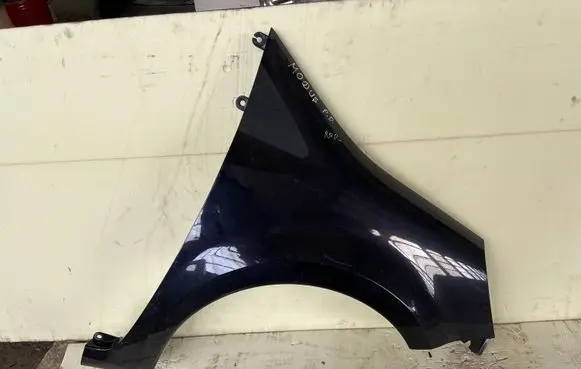 Renault Grand Modus Fender