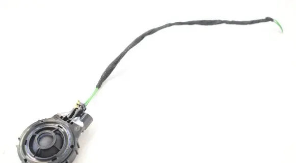 Rear door speaker