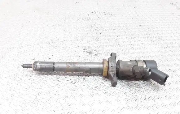 Citroen Berlingo Fuel injector 0445110239
