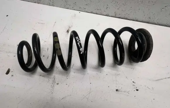 Volkswagen PASSAT B7 Rear coil spring
