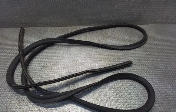 Rear door rubber seal (on body)