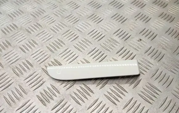 Renault Zoe Roof trim bar molding cover 738539026R