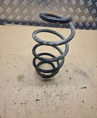 Rear coil spring
