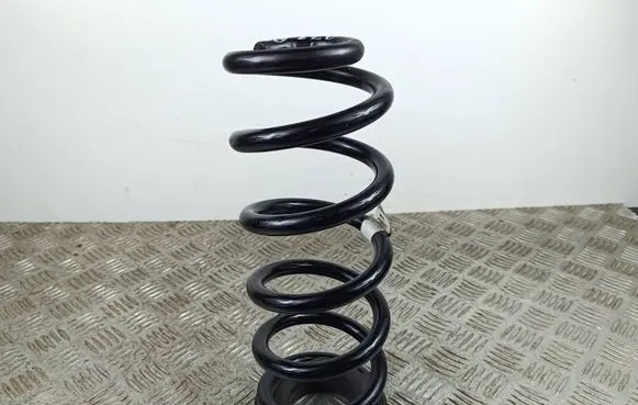 Rear coil spring