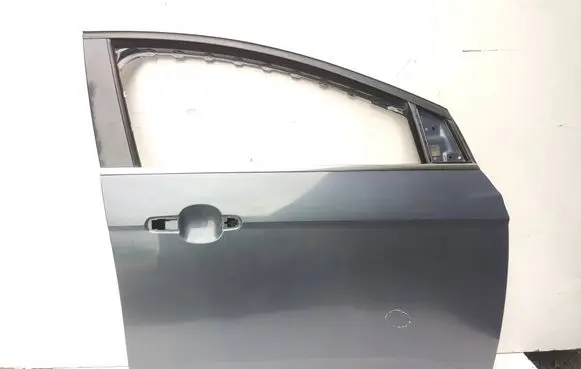 Ford Focus Front door
