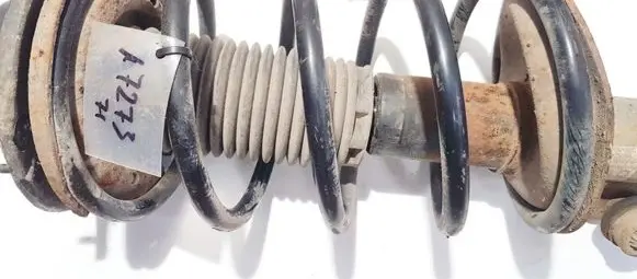 Peugeot 206 Front coil spring 1000849317 74136