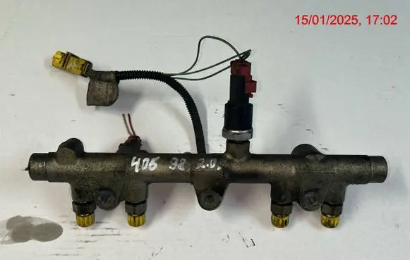 Peugeot 406 Fuel main line pipe 0281002283