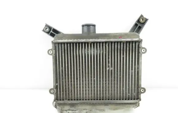 Toyota RAV 4 (XA20) Intercooler radiator 