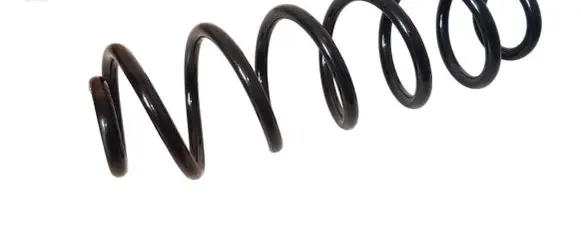 Toyota C-HR I Rear coil spring