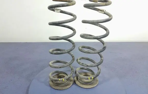 Rear coil spring