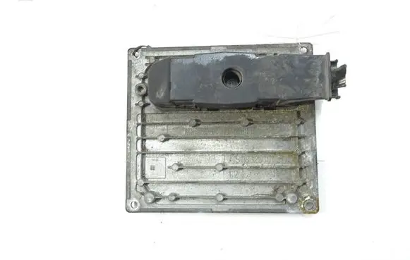 Engine control unit/module ECU