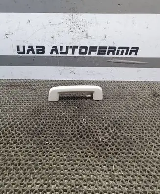 Ford Focus Rear interior roof grab handle