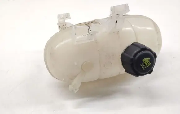 Renault Kangoo II Coolant expansion tank/reservoir 217101893R
