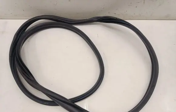 Rear door rubber seal (on body)