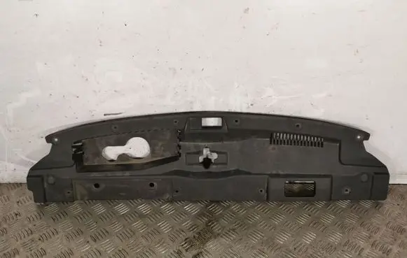Engine bonnet/hood lock trim molding