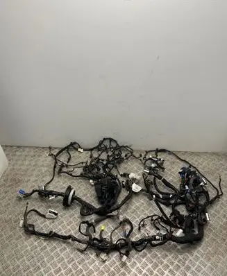 Nissan Juke II F16 Wiring harness 240106PM2C CE4438PM2C 243805499R