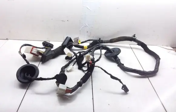 KIA Carens II Front door wiring loom 919803K040 916001D070