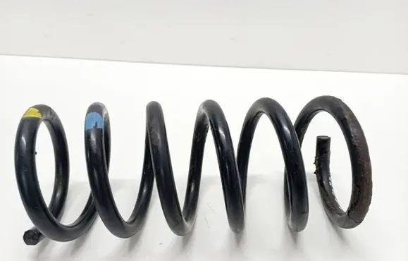 Opel Antara Rear coil spring