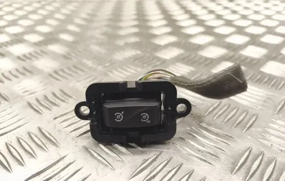 Renault Megane III Cruise control switch 1015009001