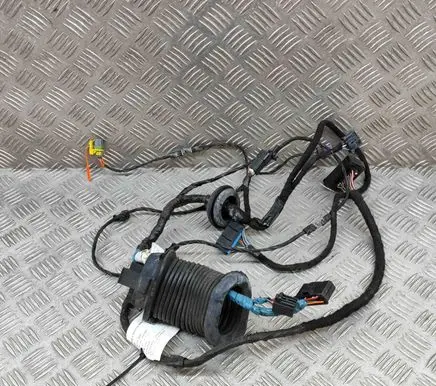Chevrolet Corvette C6 Front door wiring loom 15805617AA
