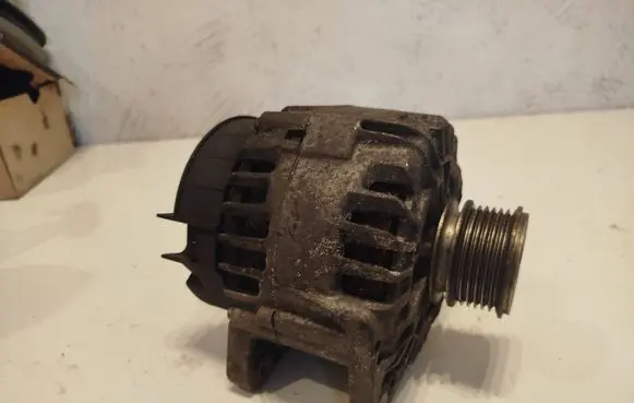 Renault Kangoo II Generator/alternator 2606272D 216111103 231000026R